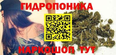 apvp Уссурийск