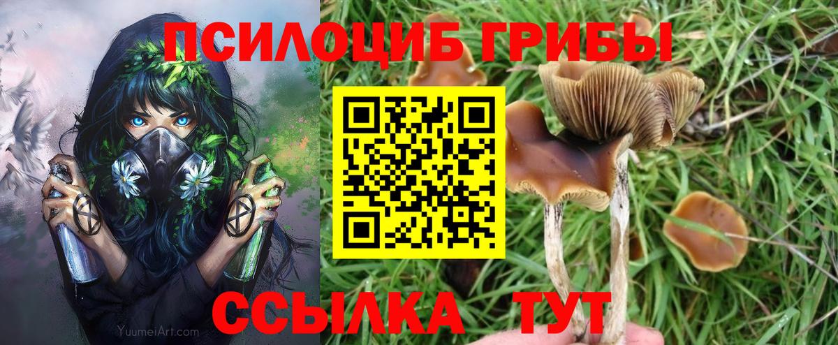 Галлюциногенные грибы GOLDEN TEACHER Бийск